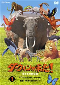 �_�[�E�B���������I�������̐V�`���@�P