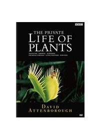 �a�a�b�@�A���̐��E�@�R�@���̗U�f