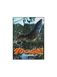 �_�[�E�B���������I�������̐V�`���@�T