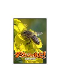 �_�[�E�B���������I�������̐V�`���@�U