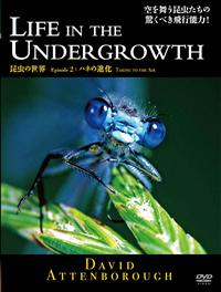 �a�a�b�@�����̐��E�@�n�l�̐i�� 2