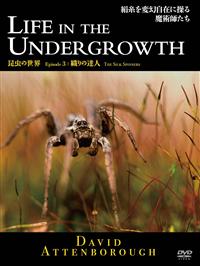 �a�a�b�@�����̐��E�@�D��̒B�l 3