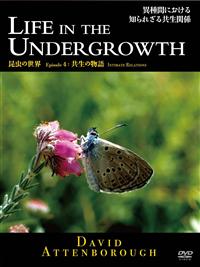 �a�a�b�@�����̐��E�@�����̕��� 4