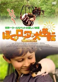 �ڂ��ƃ��b�^�̑�t�]