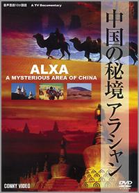 �����̔鋫�@�A���V����