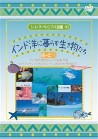 �C���h�m�ɕ�炷�����������@�P