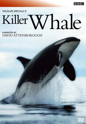 BBC WILDLIFE SPECIALS DVD 日本版