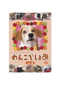 ��񂱂ł���