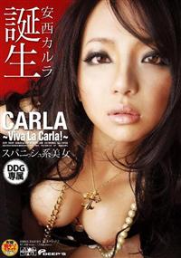 ～Ｖｉｖａ　Ｌａ　Ｃａｒｌａ！～　スパニッシュ系美女　誕生の画像