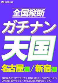 全国縦断ガチナン天国　名古屋編　新宿編の画像