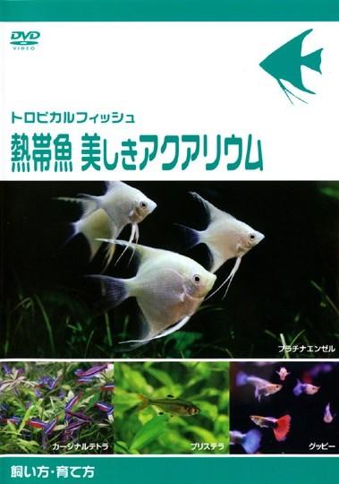 トロピカルフィッシュ 熱帯魚 美しきアクアリウム 飼い方・育て方 | 宅配DVDレンタルのTSUTAYA DISCAS