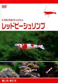 �g���s�J���t�B�b�V���@���b�h�r�[�V�������v�@�������E��ĕ�