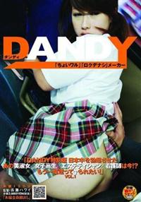 ＤＡＮＤＹ特別版　日本中を勃起させたあの美淑女／女子校生／エステティシャン／看護師は今！？もう一度逢ってヤられたい！　１の画像