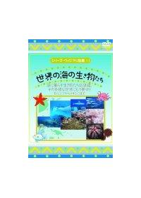 ���E�̊C�̐���������