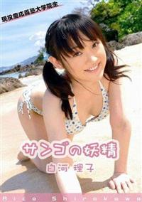 �T���S�̗d��