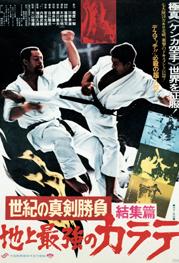 地上最強のカラテ 結集編 | 宅配DVDレンタルのTSUTAYA DISCAS