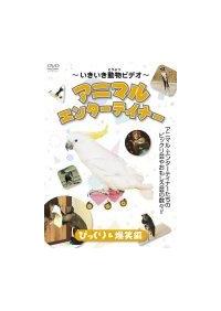 �A�j�}���E�G���^�[�e�C�i�[�@�т����聕���Ε�