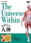 人体 The Universe Within DVD 全6巻