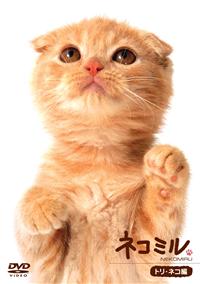 �l�R�~���@�g���E�l�R��