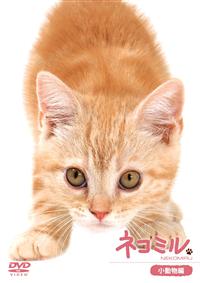 �l�R�~���@��������