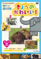 ＮＨＫ ＤＶＤ ダーウィンの動物大図鑑 はろ～！あにまる きょうの