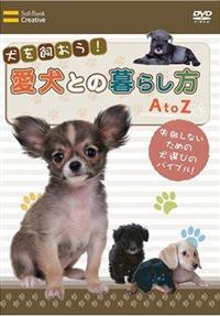 �����������I�����Ƃ̕�炵���@�`�����y