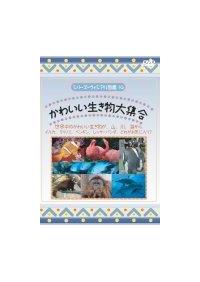 ���킢����������W���@���E���̂��킢�����������A�R�A��A�C����@�C���J�A�N�}�m�~�A�y���M���A���b�T�[�p���_�A�ǂꂪ���C�ɓ���H