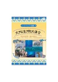 �傫�Ȑ�������W��