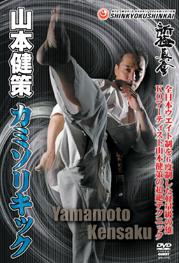 DVD 新極真会山本健策カミソリキックとカミソリキック実践編の二本セット 新極真会 山本健策 カミソリキック実践篇
