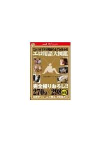 これ１本でＡＶ（アダルトビデオ）用語の全てが分かるエロ用語大図鑑の画像