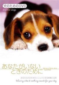 ���̂��߂̂c�u�c�^���Ȃ������Ȃ��Ƃ��̂��߂Ɂ@���Ȃ��̌��̂��߂̃����b�N�X����f���Ɖ��y