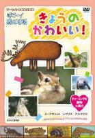 ダーウィンの動物大図鑑 はろ～！あにまる きょうのかわいい！ | 宅配