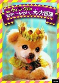 �l���D�E�B���N���@���E�ꂩ�킢�����̑�`��