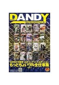 ＤＡＮＤＹ３周年公式コンプリートエディション　もっとちょいワル全仕事集　ＶＯＬ．１の画像