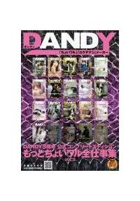 ＤＡＮＤＹ３周年公式コンプリートエディション　もっとちょいワル全仕事集　ＶＯＬ．２の画像