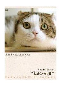 �J�t�F�˂������c�u�c�@���I���̂P��