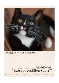 �J�t�F�˂������c�u�c�@���܂˂��W���b�N�ƍK�^�̂���������