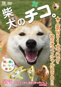 �Č��̃`�R�B