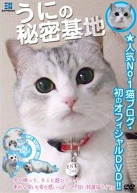 �E�j�̔閧��n