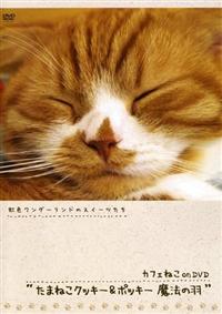 �J�t�F�˂������c�u�c���܂˂��N�b�L�[���W���b�N���@�̉H