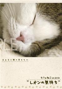 �J�t�F�˂������c�u�c���I���̋C����