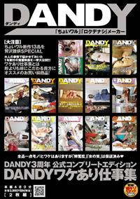 ＤＡＮＤＹ　３周年公式コンプリートエディション　ＤＡＮＤＹワケあり仕事集の画像