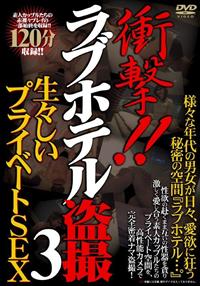 衝撃！！ラブホテル盗撮　３　生々しいプライベートＳＥＸの画像