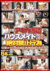 話題のアキバ派遣ハウスメイドを自宅に呼んで絶対禁止行為を仕掛けたらどこまで許してくれるのか？の画像