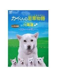 �J�C����̎ᑐ����@�����@�k�C���@�`�X�E�B�[�g�������[�`