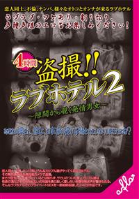 【TSUTAYAだけ】２ 盗撮！！ラブホテル ～隙間から覗く発情男女～の画像