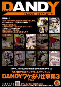 ＤＡＮＤＹ公式コンプリートエディション　ＤＡＮＤＹワケあり仕事集３　ＶＯＬ．１の画像