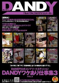 ＤＡＮＤＹ公式コンプリートエディション　ＤＡＮＤＹワケあり仕事集３　ＶＯＬ．２の画像