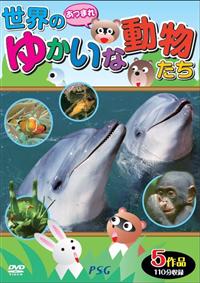 ���܂�I���E�̂䂩���ȓ�������