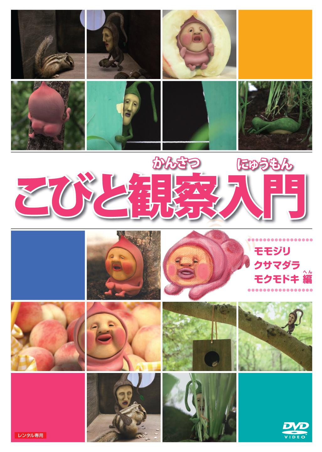 こびとづかん　dvd